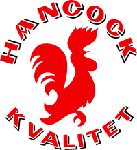 Hancock logo